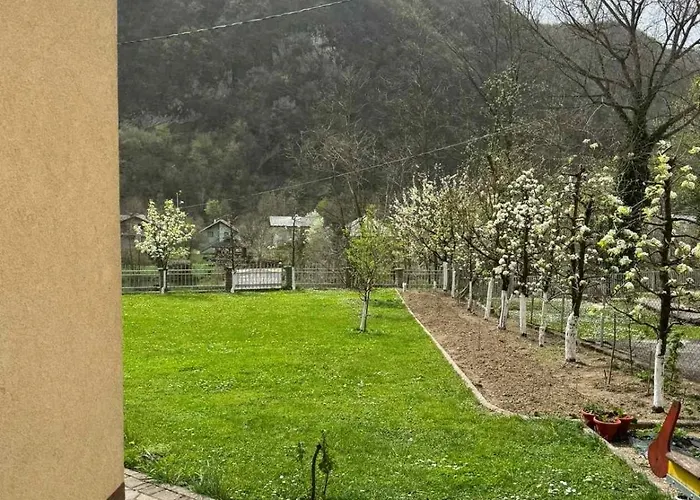 D&d 1 Appartamento *